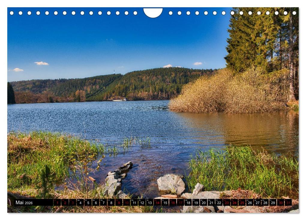 Weitere Ansicht: Im Thüringer Wald (Wandkalender 2026 DIN A4 quer), CALVENDO Monatskalender | Calvendo, Torsten Irmer