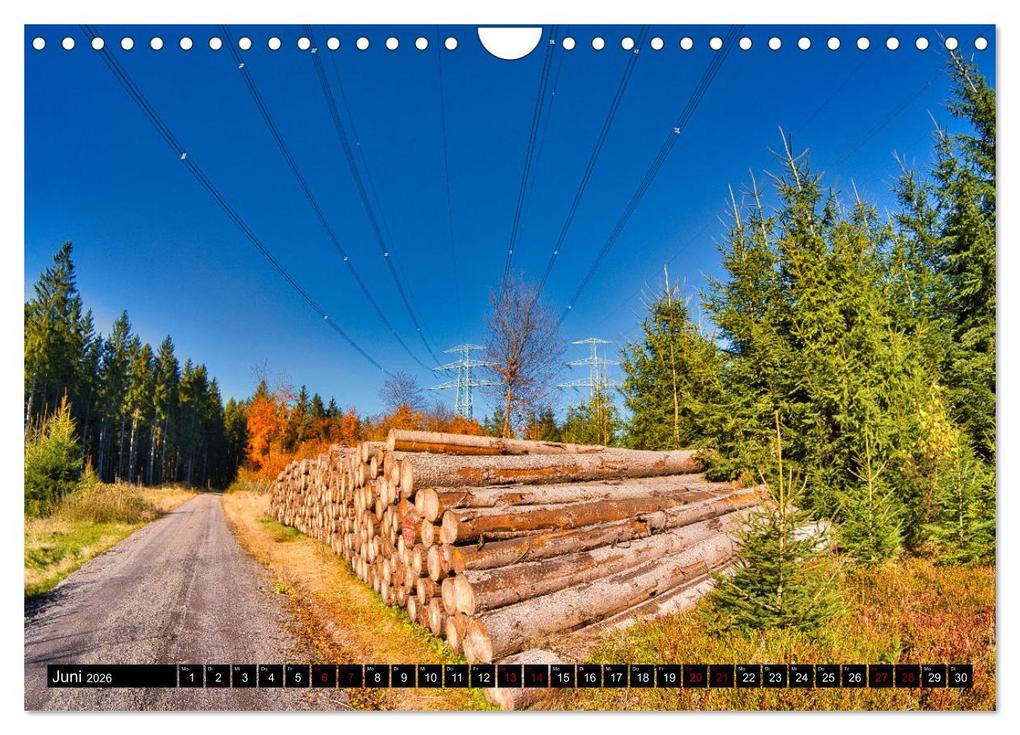 Weitere Ansicht: Im Thüringer Wald (Wandkalender 2026 DIN A4 quer), CALVENDO Monatskalender | Calvendo, Torsten Irmer