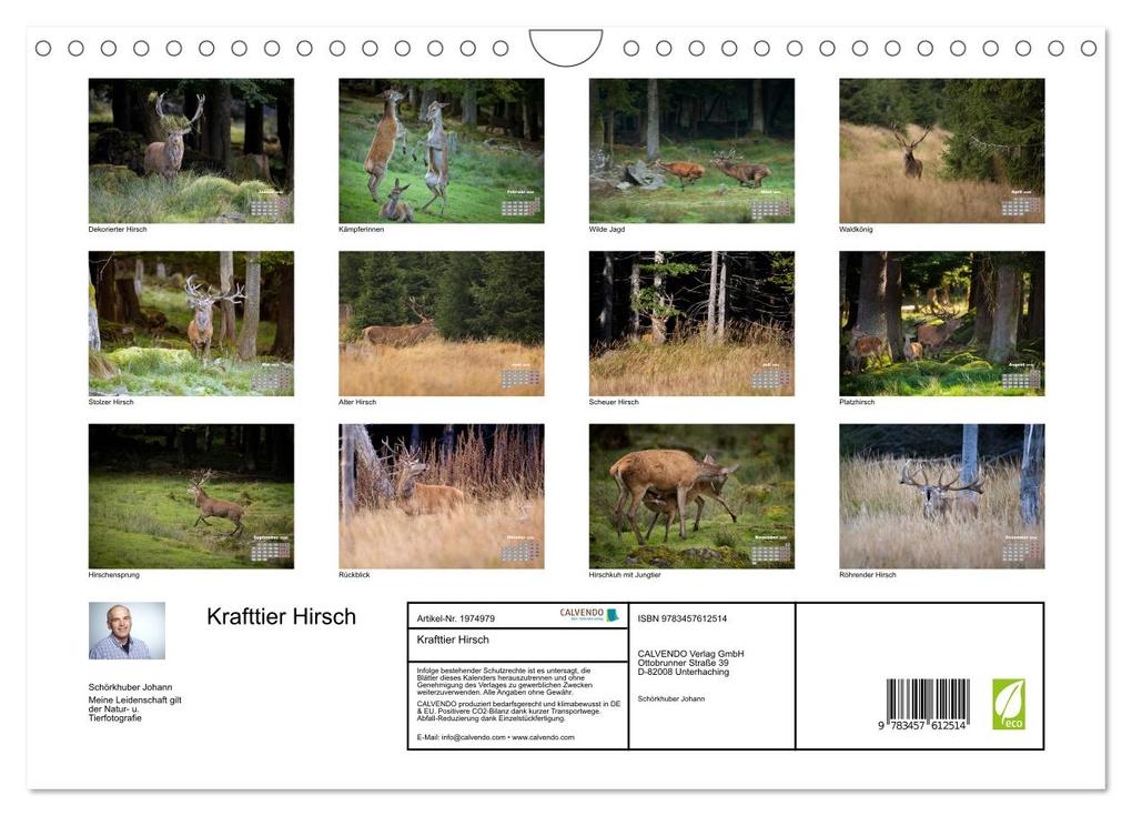Weitere Ansicht: Krafttier Hirsch (Wandkalender 2026 DIN A4 quer), CALVENDO Monatskalender | Calvendo, Schörkhuber Johann