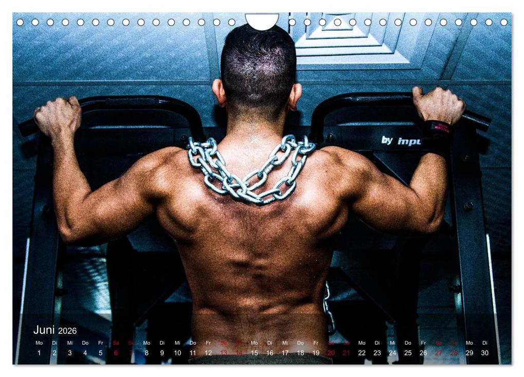 Weitere Ansicht: Kraftsport (Wandkalender 2026 DIN A4 quer), CALVENDO Monatskalender | Calvendo, Renate Utz