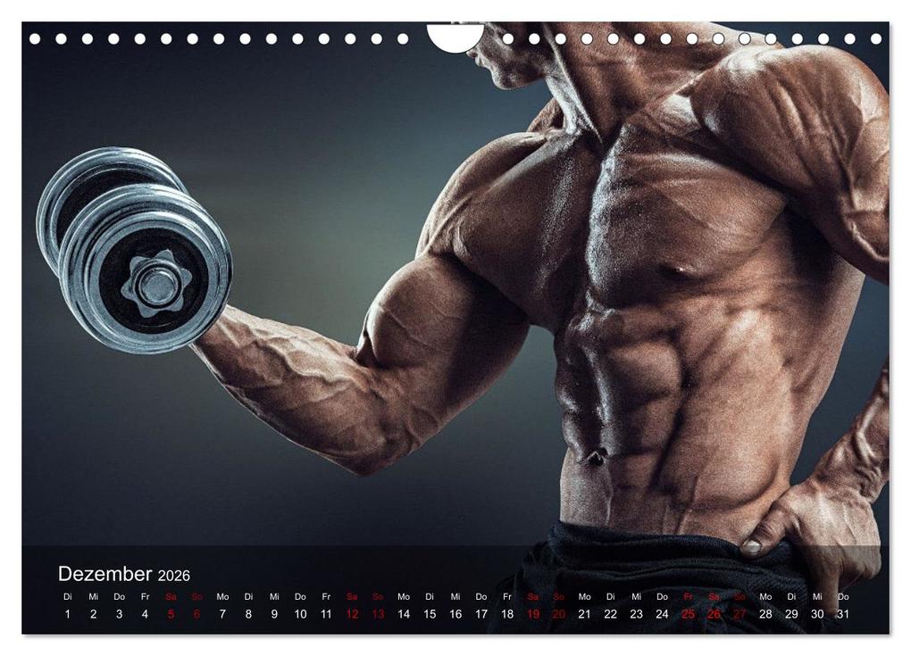 Weitere Ansicht: Kraftsport (Wandkalender 2026 DIN A4 quer), CALVENDO Monatskalender | Calvendo, Renate Utz