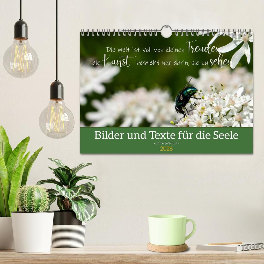 Weitere Ansicht: Bilder und Texte für die Seele (Wandkalender 2026 DIN A4 quer), CALVENDO Monatskalender | Tanja Schultz Fotografie, Calvendo