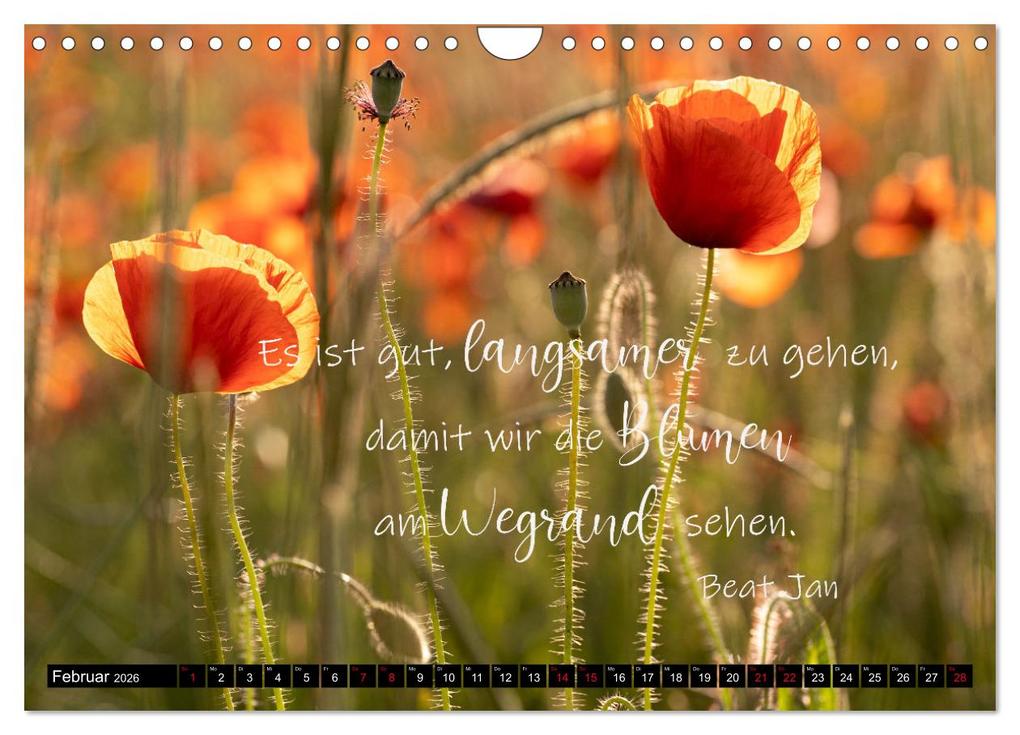 Weitere Ansicht: Bilder und Texte für die Seele (Wandkalender 2026 DIN A4 quer), CALVENDO Monatskalender | Tanja Schultz Fotografie, Calvendo