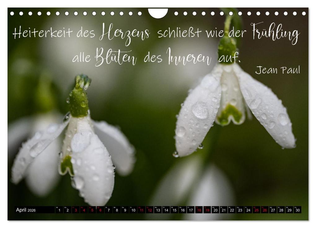 Weitere Ansicht: Bilder und Texte für die Seele (Wandkalender 2026 DIN A4 quer), CALVENDO Monatskalender | Tanja Schultz Fotografie, Calvendo