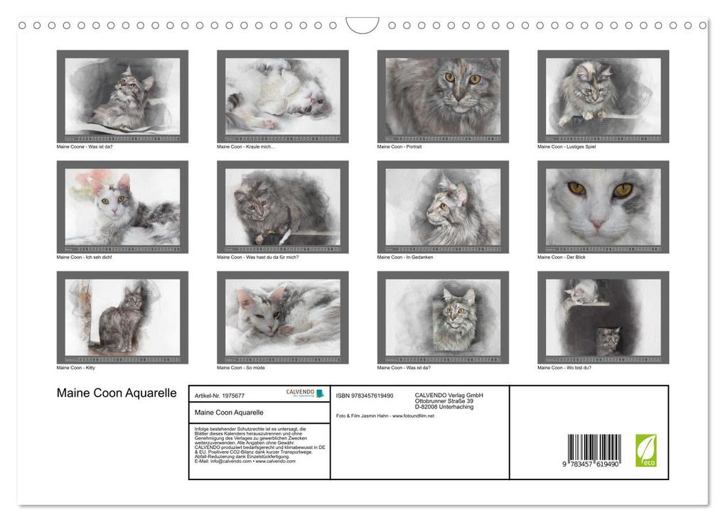 Weitere Ansicht: Maine Coon Aquarelle (Wandkalender 2026 DIN A3 quer), CALVENDO Monatskalender | Jasmin Hahn, Calvendo