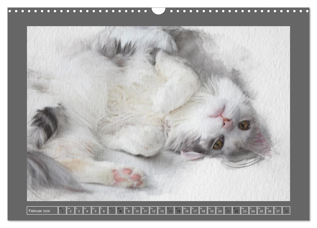 Weitere Ansicht: Maine Coon Aquarelle (Wandkalender 2026 DIN A3 quer), CALVENDO Monatskalender | Jasmin Hahn, Calvendo
