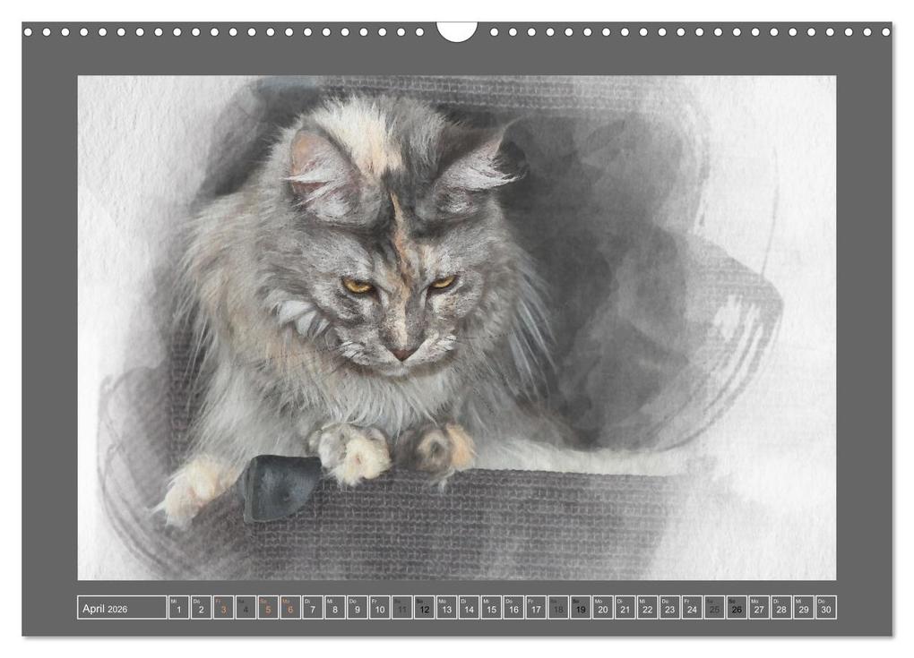 Weitere Ansicht: Maine Coon Aquarelle (Wandkalender 2026 DIN A3 quer), CALVENDO Monatskalender | Jasmin Hahn, Calvendo