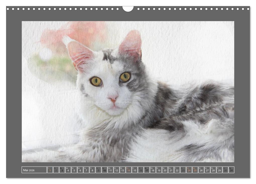 Weitere Ansicht: Maine Coon Aquarelle (Wandkalender 2026 DIN A3 quer), CALVENDO Monatskalender | Jasmin Hahn, Calvendo