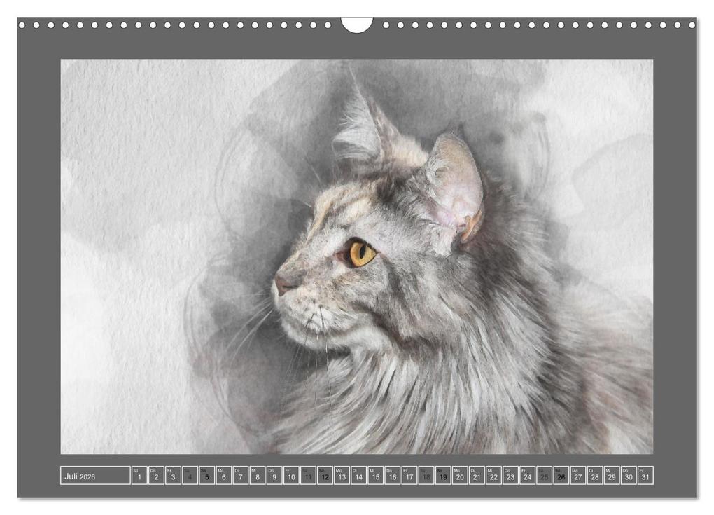 Weitere Ansicht: Maine Coon Aquarelle (Wandkalender 2026 DIN A3 quer), CALVENDO Monatskalender | Jasmin Hahn, Calvendo