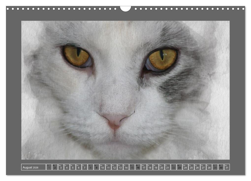 Weitere Ansicht: Maine Coon Aquarelle (Wandkalender 2026 DIN A3 quer), CALVENDO Monatskalender | Jasmin Hahn, Calvendo