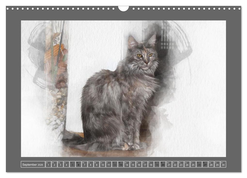 Weitere Ansicht: Maine Coon Aquarelle (Wandkalender 2026 DIN A3 quer), CALVENDO Monatskalender | Jasmin Hahn, Calvendo