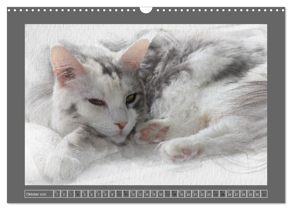 Weitere Ansicht: Maine Coon Aquarelle (Wandkalender 2026 DIN A3 quer), CALVENDO Monatskalender | Jasmin Hahn, Calvendo