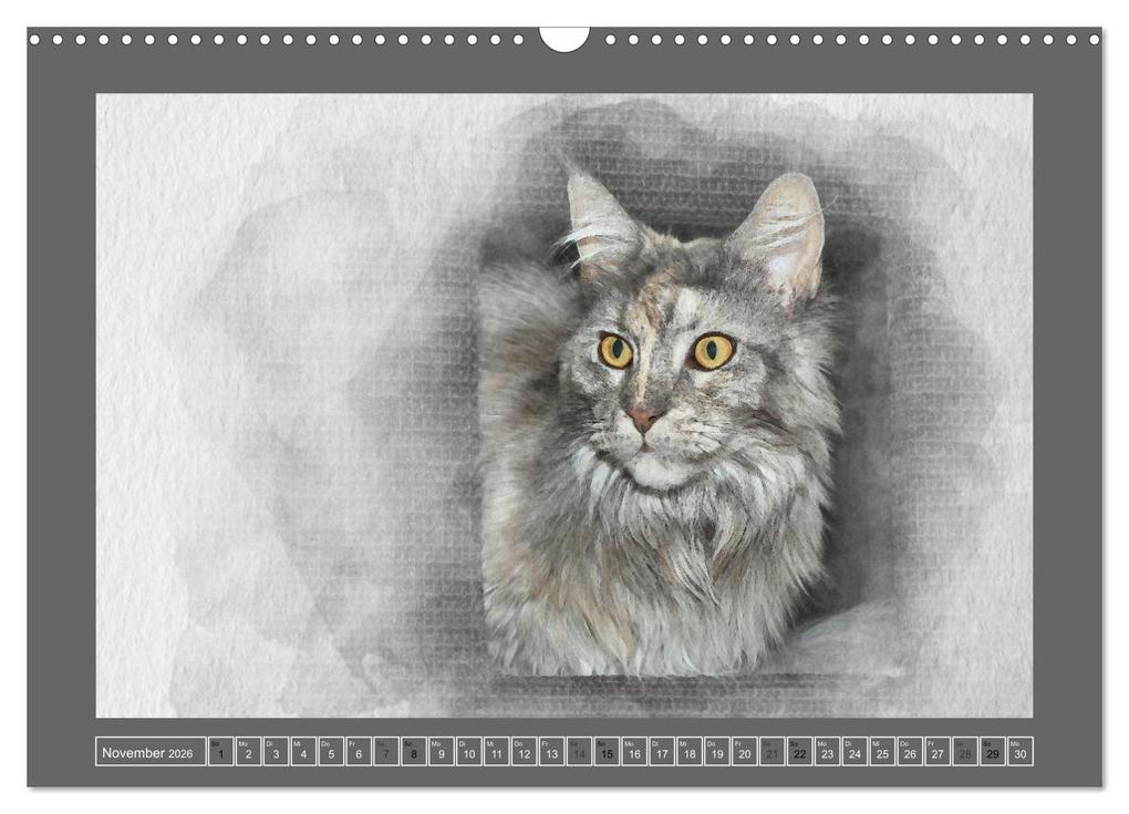 Weitere Ansicht: Maine Coon Aquarelle (Wandkalender 2026 DIN A3 quer), CALVENDO Monatskalender | Jasmin Hahn, Calvendo