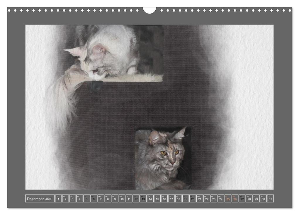 Weitere Ansicht: Maine Coon Aquarelle (Wandkalender 2026 DIN A3 quer), CALVENDO Monatskalender | Jasmin Hahn, Calvendo