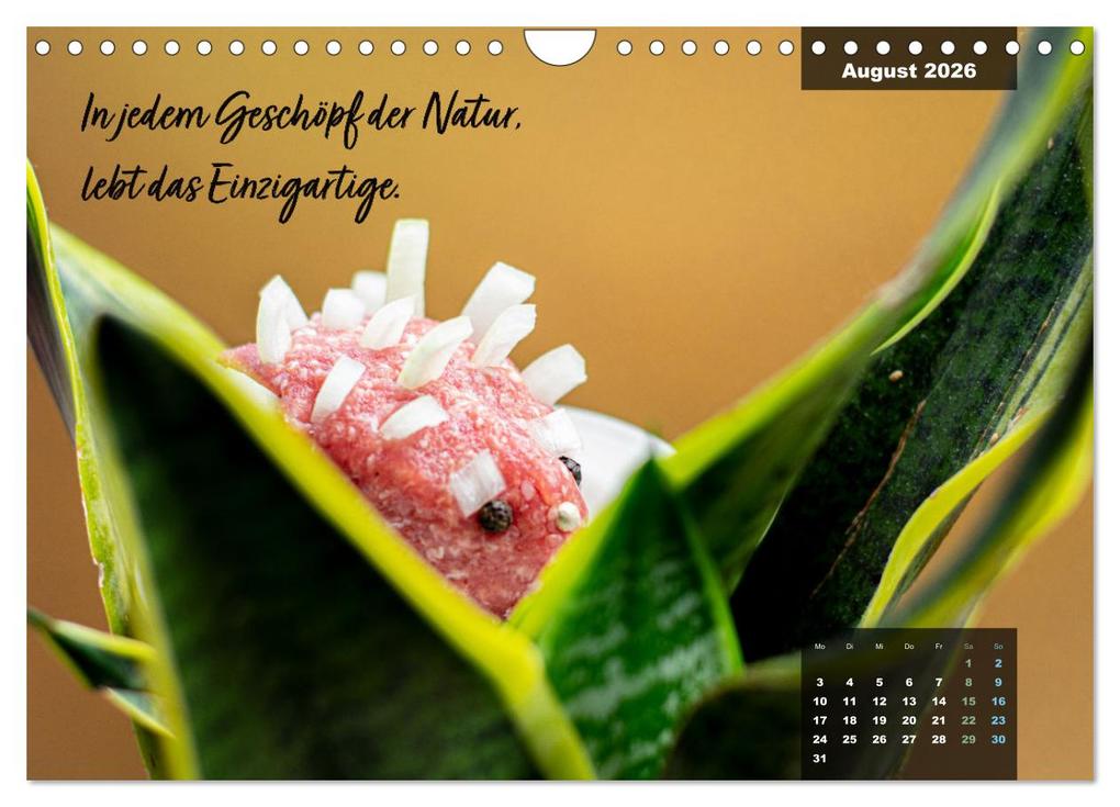 Weitere Ansicht: Mettkalender - Mettigel Edition (Wandkalender 2026 DIN A4 quer), CALVENDO Monatskalender | Mettfluencer Mettfluencer, Calvendo, Mettfluencer