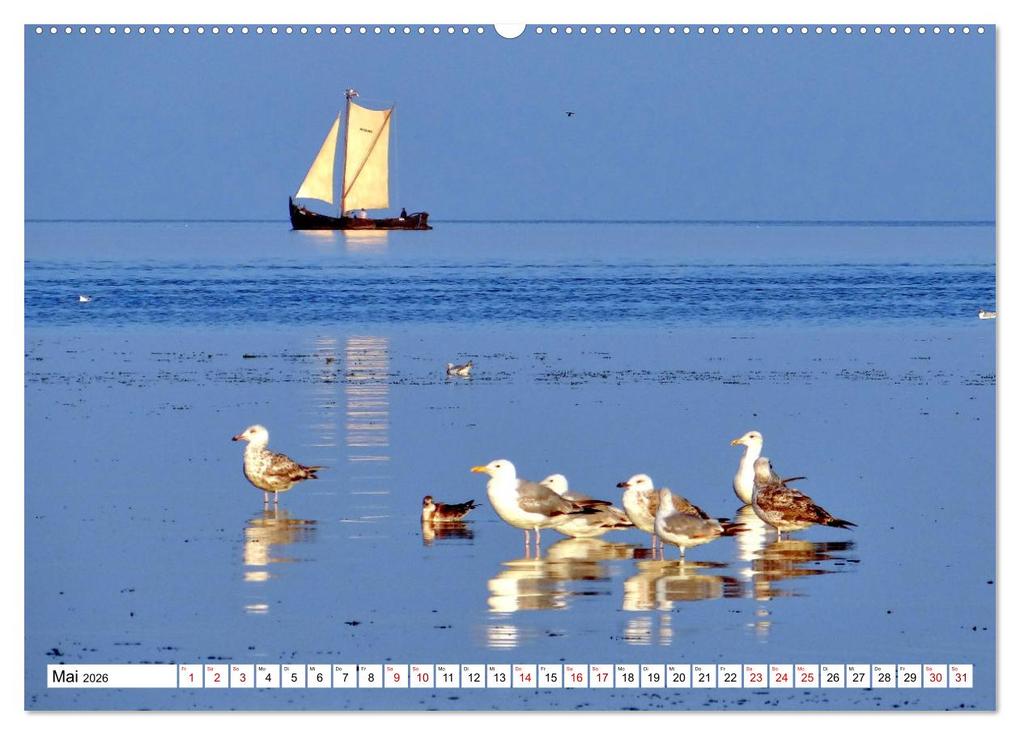 Weitere Ansicht: Unter Segeln übers Kurische Haff (Wandkalender 2026 DIN A2 quer), CALVENDO Monatskalender | Henning von Löwis of Menar, Calvendo