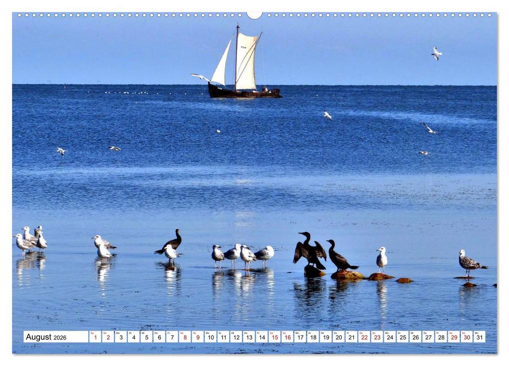 Weitere Ansicht: Unter Segeln übers Kurische Haff (Wandkalender 2026 DIN A2 quer), CALVENDO Monatskalender | Henning von Löwis of Menar, Calvendo