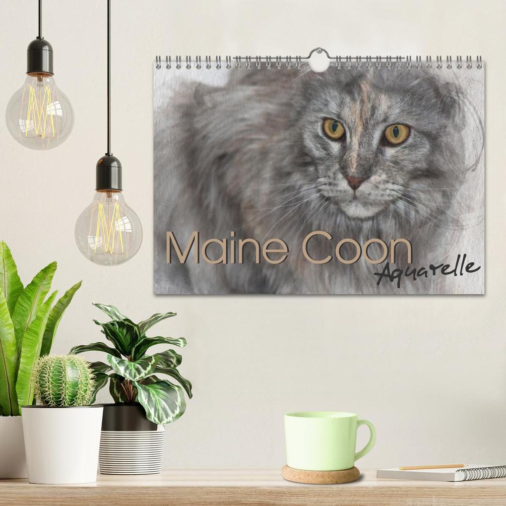 Weitere Ansicht: Maine Coon Aquarelle (Wandkalender 2026 DIN A4 quer), CALVENDO Monatskalender | Jasmin Hahn, Calvendo