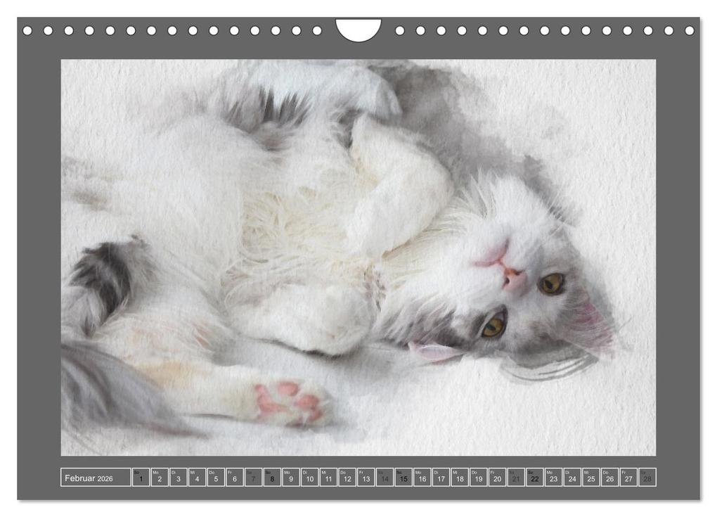 Weitere Ansicht: Maine Coon Aquarelle (Wandkalender 2026 DIN A4 quer), CALVENDO Monatskalender | Jasmin Hahn, Calvendo