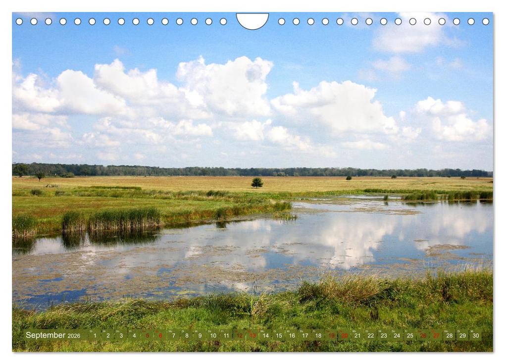 Weitere Ansicht: Im Wörlitzer Gartenreich (Wandkalender 2026 DIN A4 quer), CALVENDO Monatskalender | Gisela Kruse, Calvendo