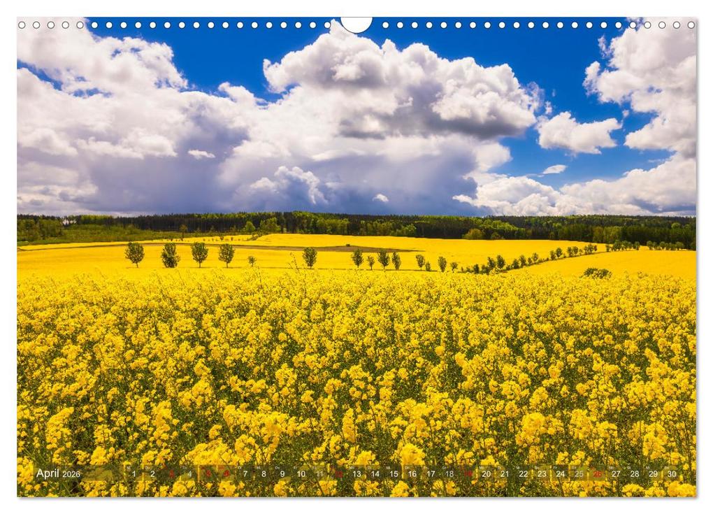 Weitere Ansicht: Stimmungsvolle Landschaften in Sachsen 2026 (Wandkalender 2026 DIN A3 quer), CALVENDO Monatskalender | Calvendo, Daniela Beyer (Moqui)