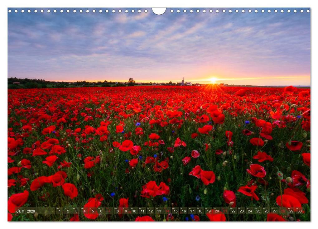 Weitere Ansicht: Stimmungsvolle Landschaften in Sachsen 2026 (Wandkalender 2026 DIN A3 quer), CALVENDO Monatskalender | Calvendo, Daniela Beyer (Moqui)