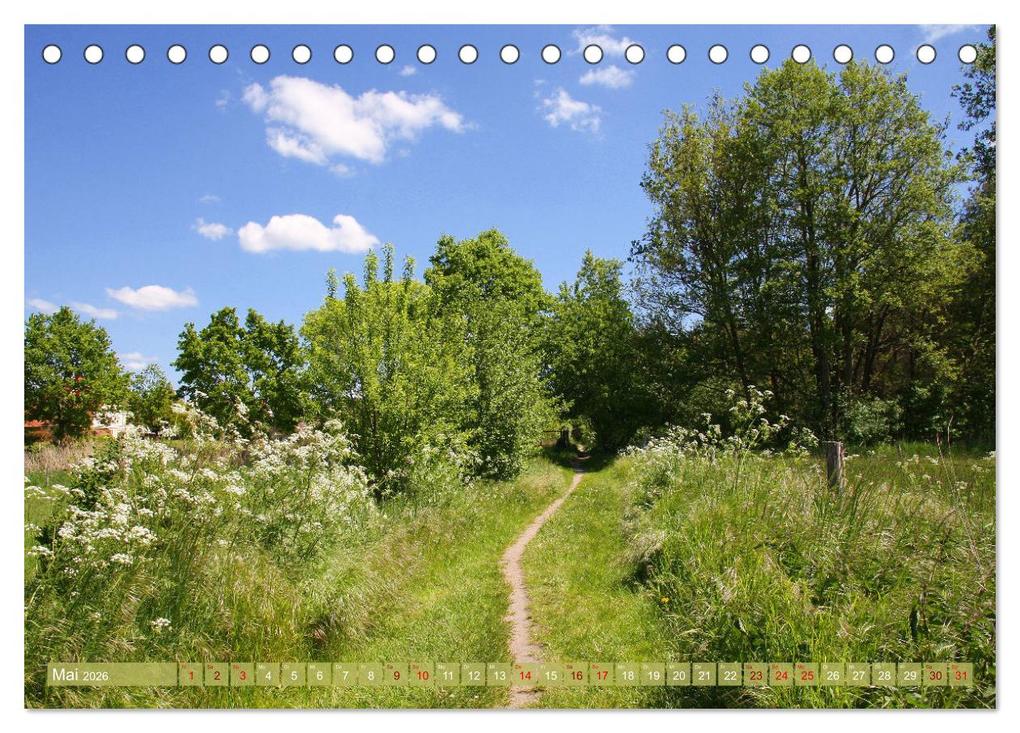 Weitere Ansicht: Brandenburg - schöne Ausflugsziele südlich von Berlin (Tischkalender 2026 DIN A5 quer), CALVENDO Monatskalender | Calvendo, Gisela Kruse