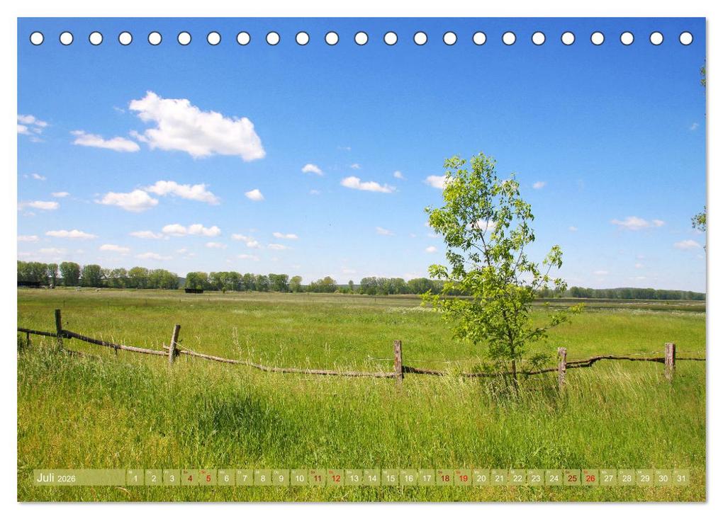 Weitere Ansicht: Brandenburg - schöne Ausflugsziele südlich von Berlin (Tischkalender 2026 DIN A5 quer), CALVENDO Monatskalender | Calvendo, Gisela Kruse