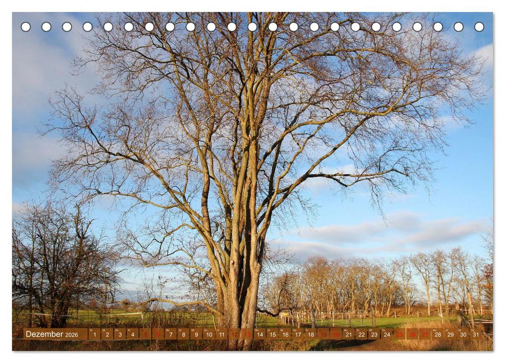 Weitere Ansicht: Brandenburg - schöne Ausflugsziele südlich von Berlin (Tischkalender 2026 DIN A5 quer), CALVENDO Monatskalender | Calvendo, Gisela Kruse