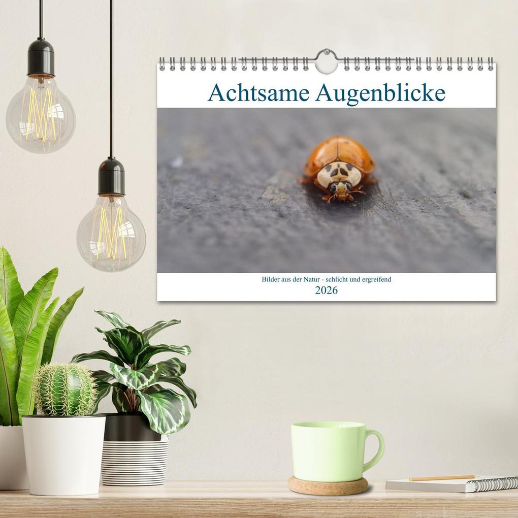 Weitere Ansicht: Achtsame Augenblicke (Wandkalender 2026 DIN A4 quer), CALVENDO Monatskalender | JoBe FotoART, Calvendo
