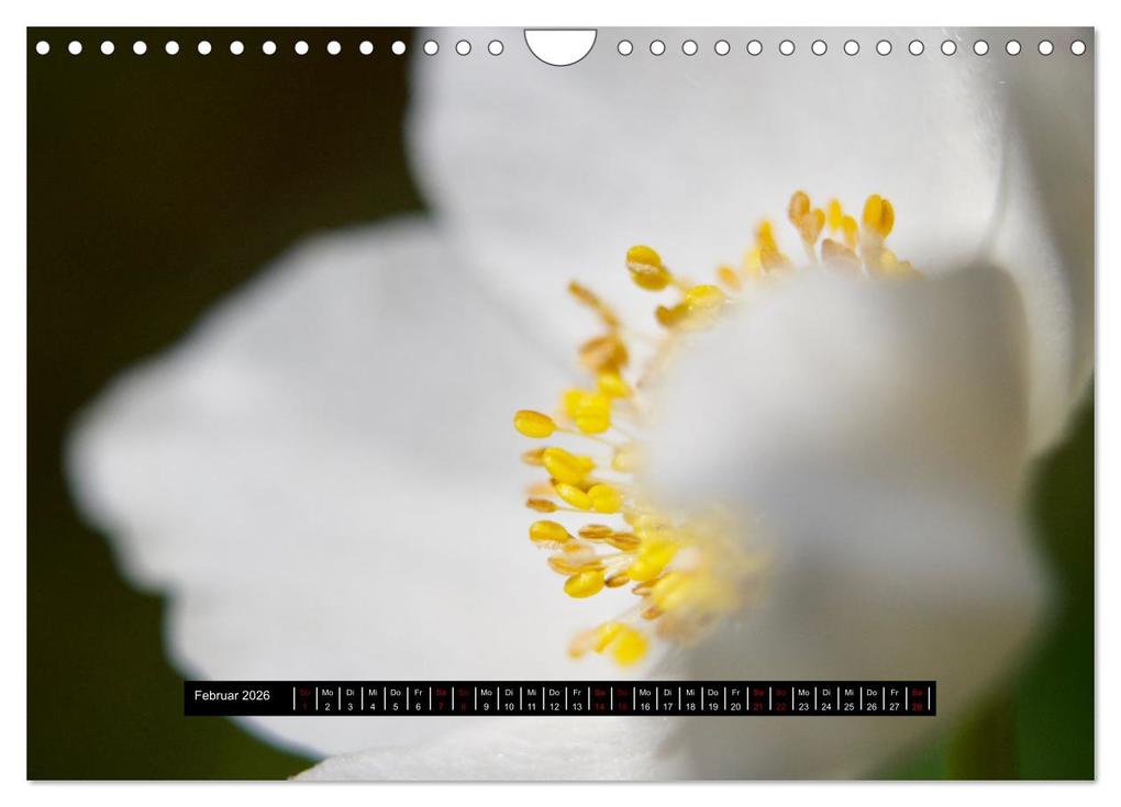 Weitere Ansicht: Achtsame Augenblicke (Wandkalender 2026 DIN A4 quer), CALVENDO Monatskalender | JoBe FotoART, Calvendo