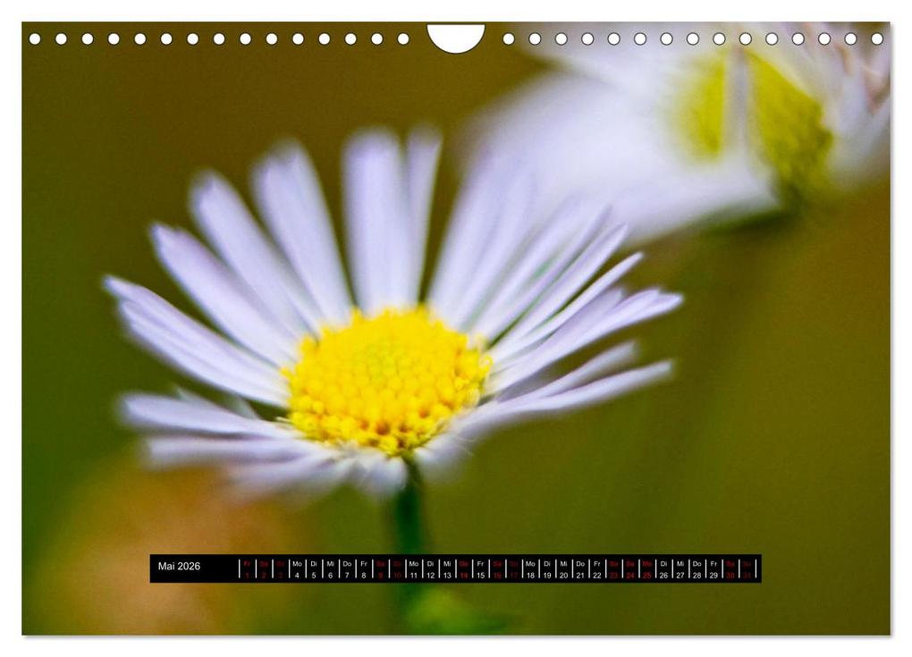 Weitere Ansicht: Achtsame Augenblicke (Wandkalender 2026 DIN A4 quer), CALVENDO Monatskalender | JoBe FotoART, Calvendo