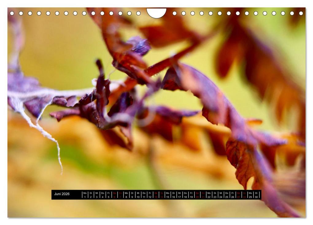 Weitere Ansicht: Achtsame Augenblicke (Wandkalender 2026 DIN A4 quer), CALVENDO Monatskalender | JoBe FotoART, Calvendo