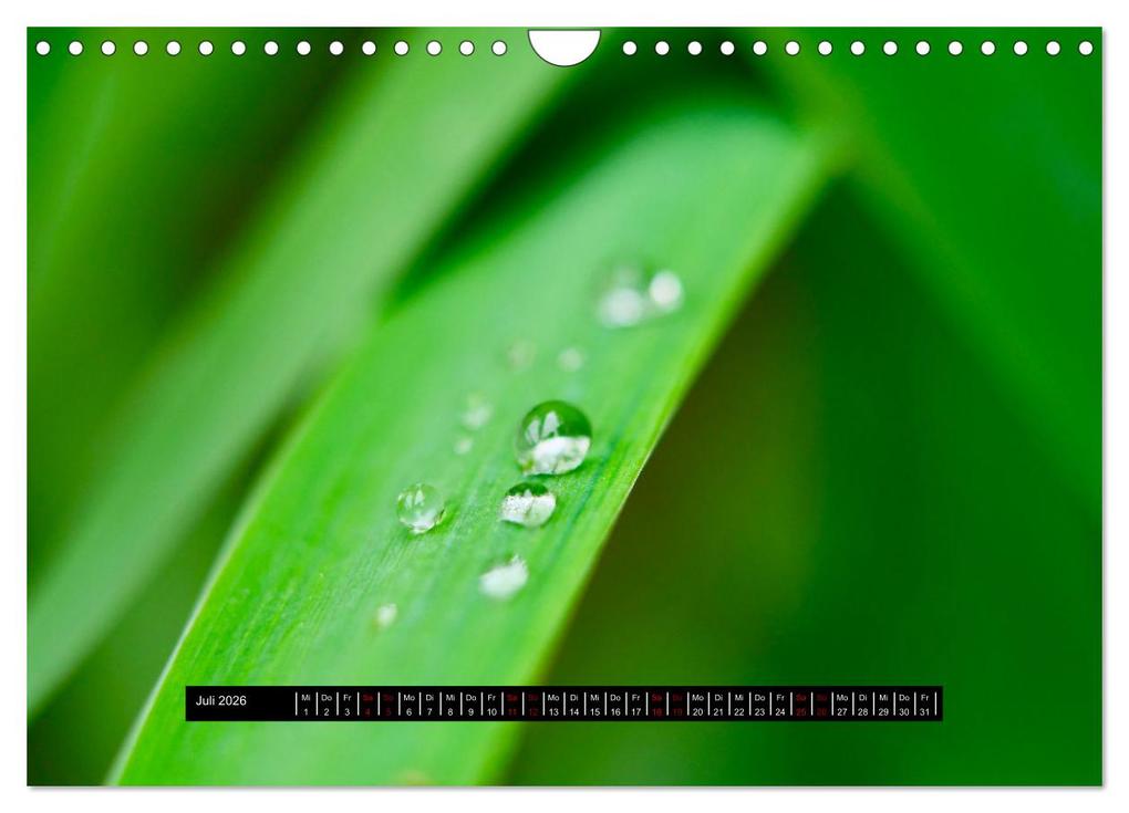 Weitere Ansicht: Achtsame Augenblicke (Wandkalender 2026 DIN A4 quer), CALVENDO Monatskalender | JoBe FotoART, Calvendo