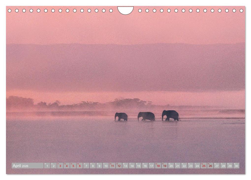 Weitere Ansicht: Spirit of Asia - Im Reich der guten Geister (Wandkalender 2026 DIN A4 quer), CALVENDO Monatskalender | Mario Weigt, Calvendo