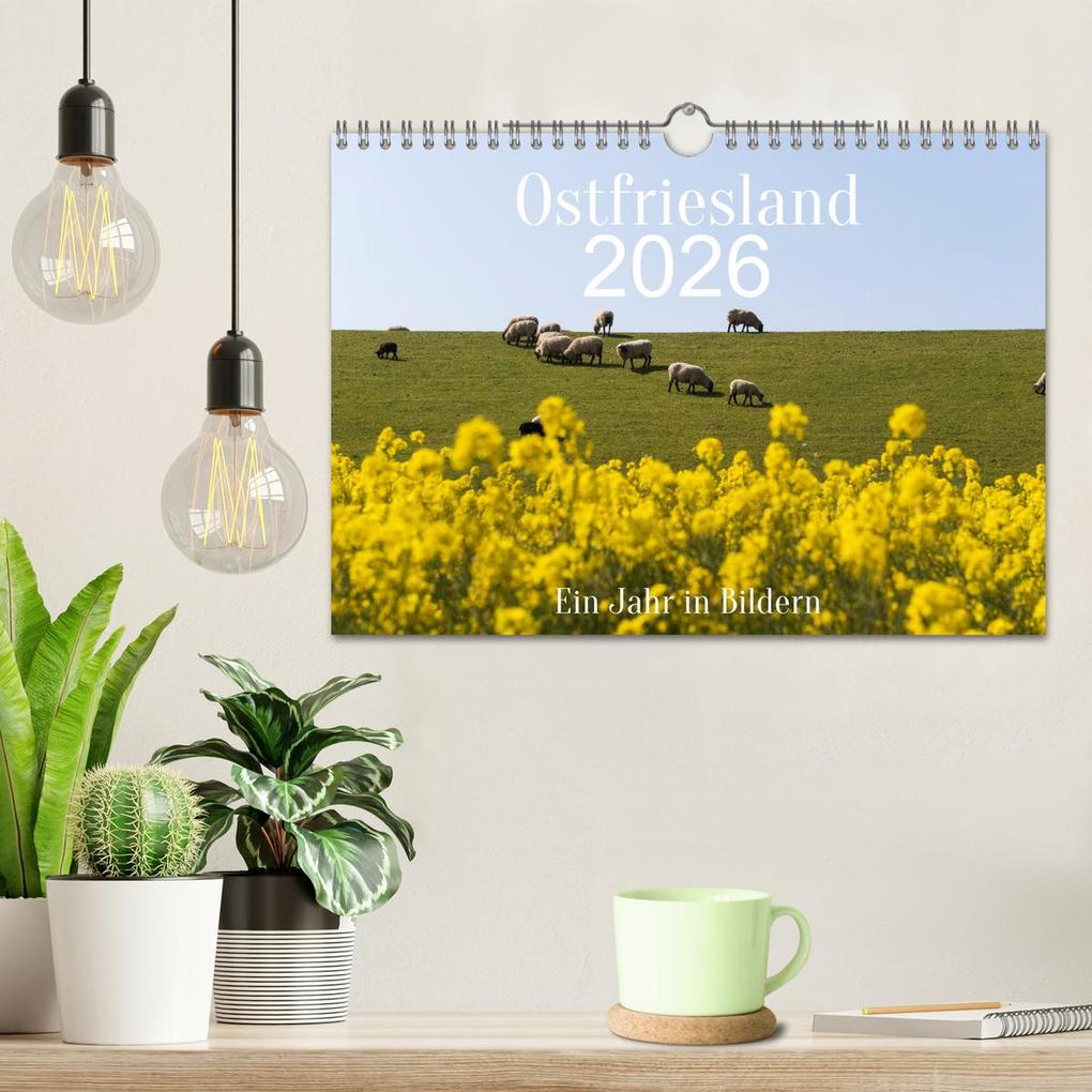 Weitere Ansicht: Ostfriesland - Ein Jahr in Bildern (Wandkalender 2026 DIN A4 quer), CALVENDO Monatskalender | Heidi Bollich, Calvendo