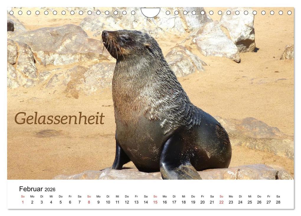 Weitere Ansicht: Ich wünsche Dir ... Wünsche für das neue Jahr (Wandkalender 2026 DIN A4 quer), CALVENDO Monatskalender | Piera Marlena Büchler, Calvendo
