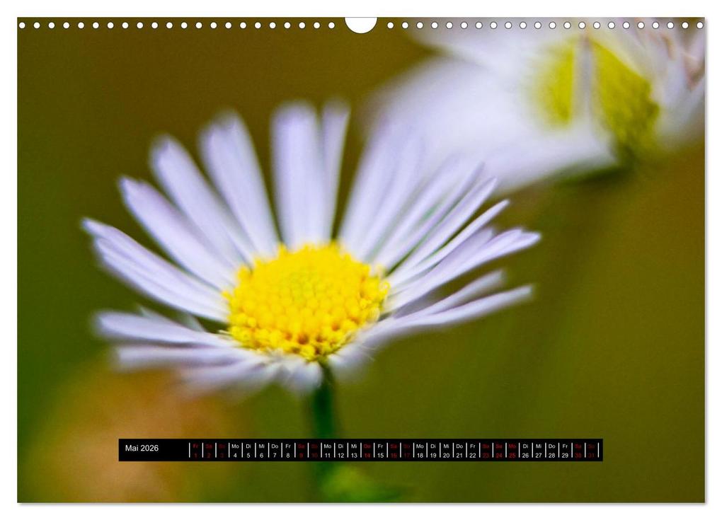 Weitere Ansicht: Achtsame Augenblicke (Wandkalender 2026 DIN A3 quer), CALVENDO Monatskalender | JoBe FotoART, Calvendo