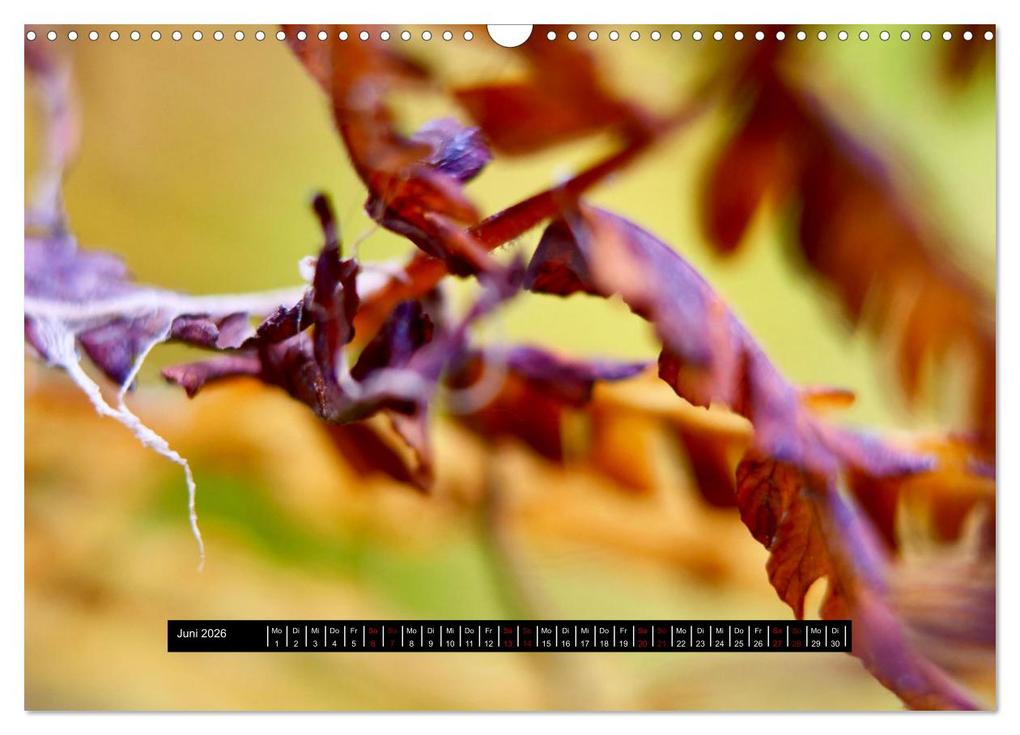 Weitere Ansicht: Achtsame Augenblicke (Wandkalender 2026 DIN A3 quer), CALVENDO Monatskalender | JoBe FotoART, Calvendo