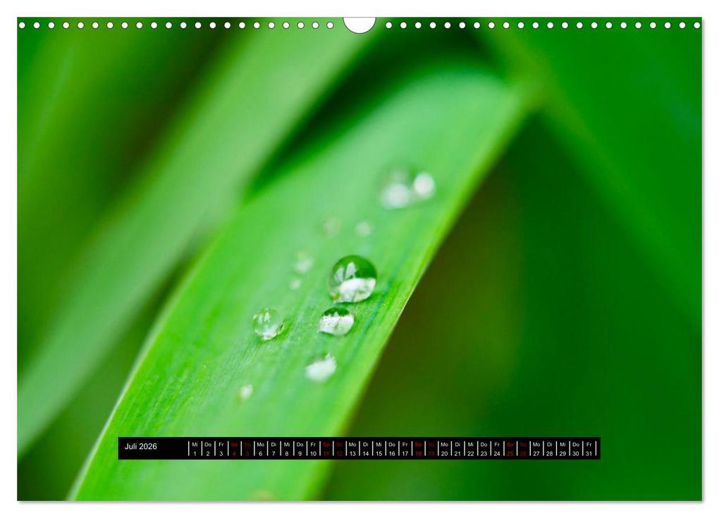 Weitere Ansicht: Achtsame Augenblicke (Wandkalender 2026 DIN A3 quer), CALVENDO Monatskalender | JoBe FotoART, Calvendo