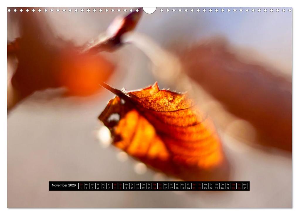Weitere Ansicht: Achtsame Augenblicke (Wandkalender 2026 DIN A3 quer), CALVENDO Monatskalender | JoBe FotoART, Calvendo