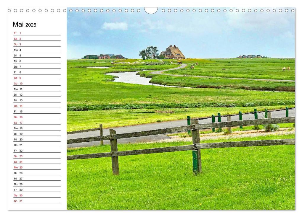 Weitere Ansicht: Hallig Hooge - Romantik Pur (Wandkalender 2026 DIN A3 quer), CALVENDO Monatskalender | Nina Schwarze, Calvendo