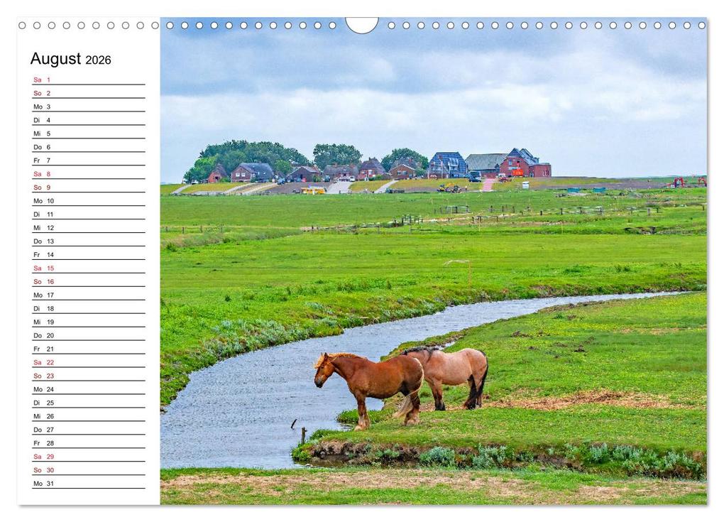 Weitere Ansicht: Hallig Hooge - Romantik Pur (Wandkalender 2026 DIN A3 quer), CALVENDO Monatskalender | Nina Schwarze, Calvendo