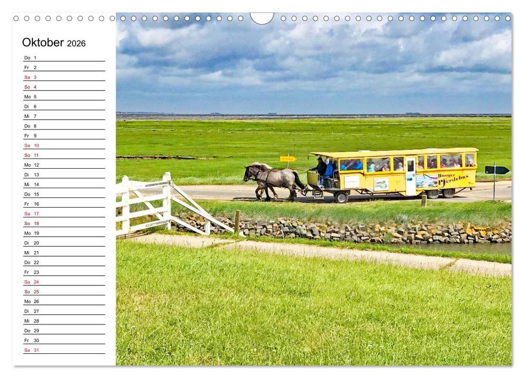 Weitere Ansicht: Hallig Hooge - Romantik Pur (Wandkalender 2026 DIN A3 quer), CALVENDO Monatskalender | Nina Schwarze, Calvendo