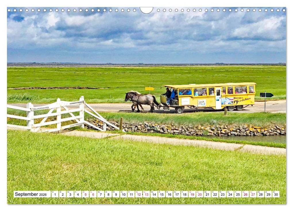 Weitere Ansicht: Nordfriesland - bezauberndes Reiseziel (Wandkalender 2026 DIN A3 quer), CALVENDO Monatskalender | Nina Schwarze, Calvendo