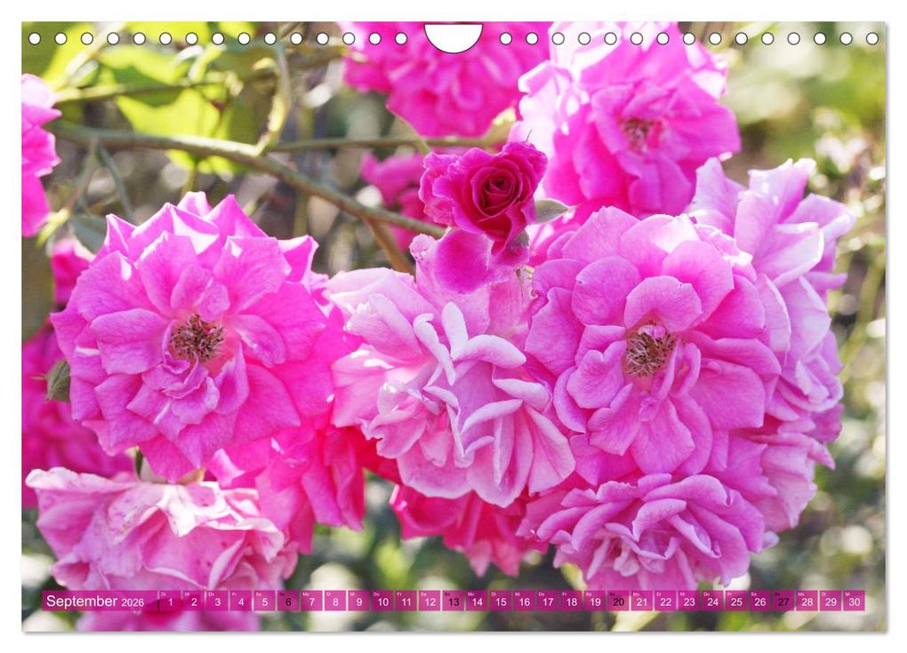 Weitere Ansicht: Bad Langensalza - Eine Perle Thüringens (Wandkalender 2026 DIN A4 quer), CALVENDO Monatskalender | Gisela Kruse, Calvendo