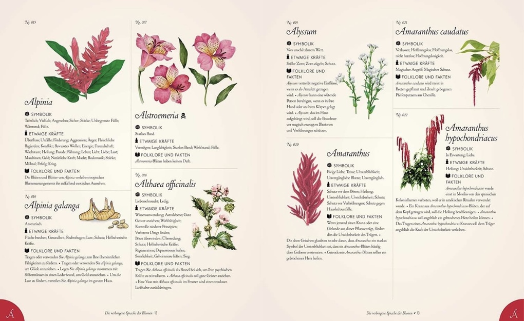 Weitere Ansicht: Die verborgene Sprache der Blumen | S. Theresa Dietz