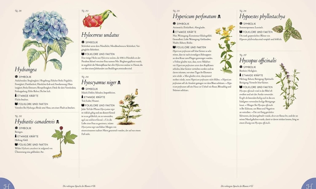 Weitere Ansicht: Die verborgene Sprache der Blumen | S. Theresa Dietz