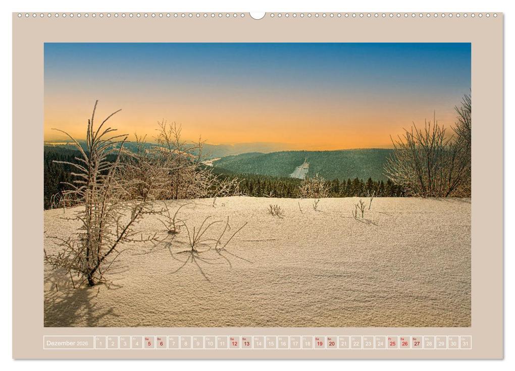 Weitere Ansicht: Vogtland - 900 Jahre Plauen (hochwertiger Premium Wandkalender 2026 DIN A2 quer), Kunstdruck in Hochglanz | Ulrich Männel, Calvendo