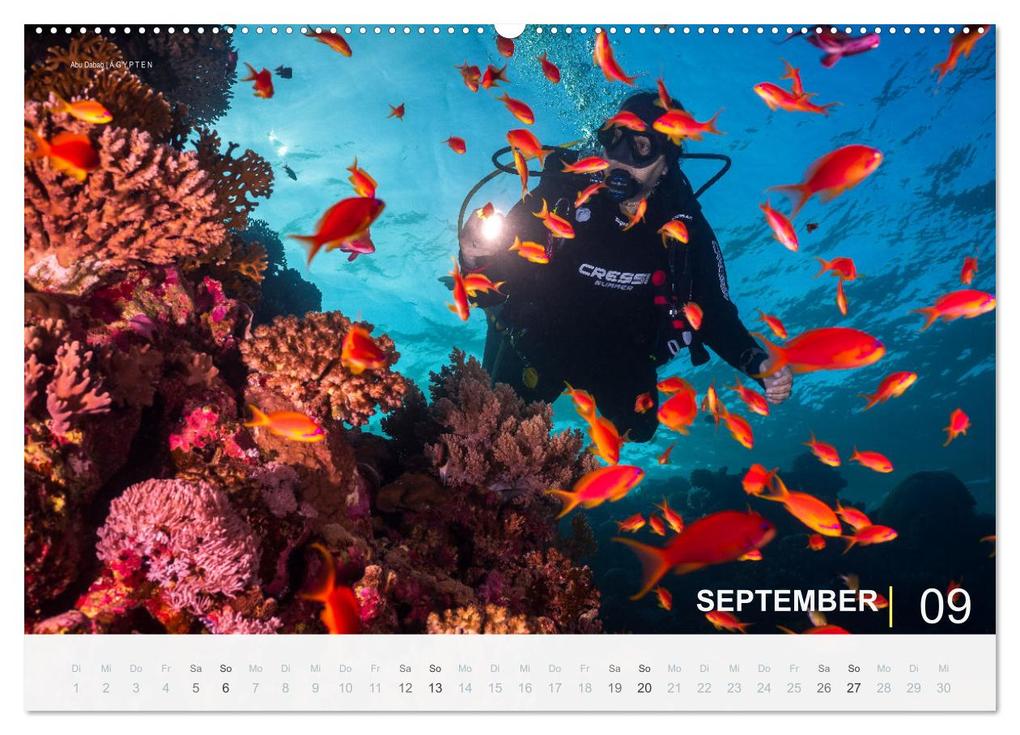 Weitere Ansicht: Einfach Tauchen - Wunderbare Tauchplätze und Korallenriffe (Wandkalender 2026 DIN A2 quer), CALVENDO Monatskalender | Christian Hubo feel4nature, Calvendo